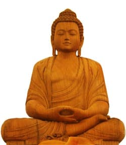 Souffrance, thérapie, guérison : perspectives bouddhiques