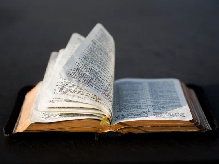 S’initier à la théologie – L’actuelle Bonne Nouvelle de l’Ancien testament